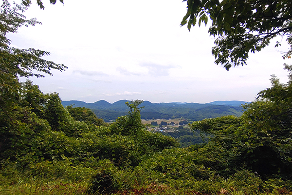 ハリウ登山部