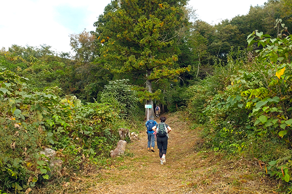 ハリウ登山部